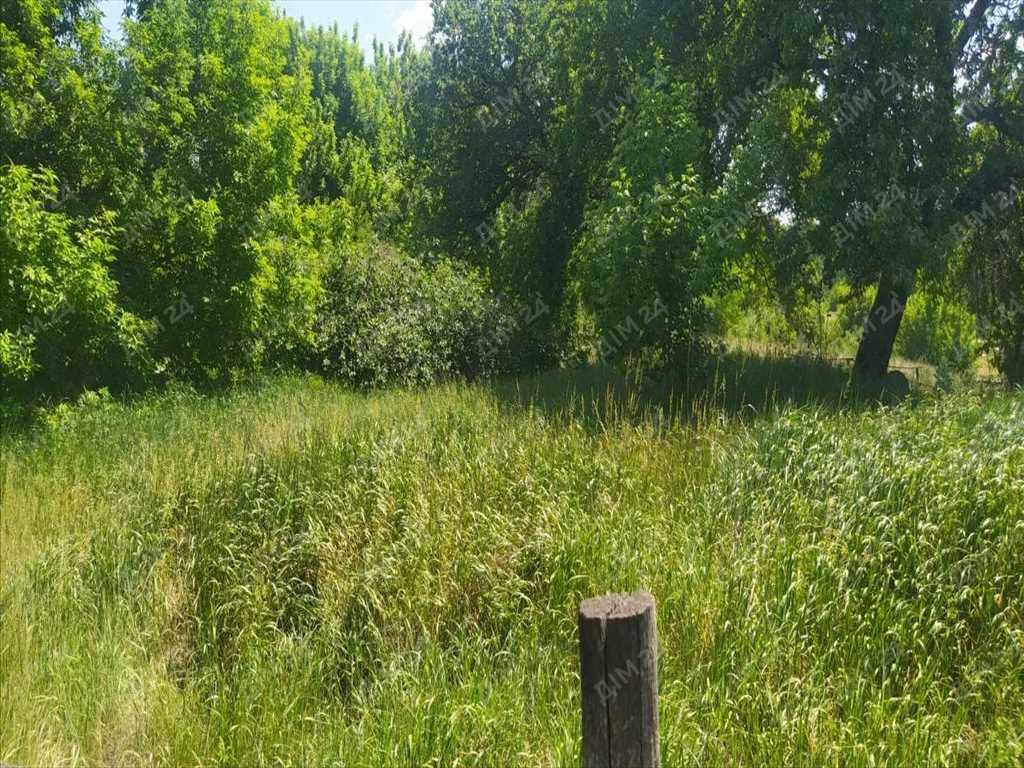 Ділянка під забудову. Село Безручки | Приват житло